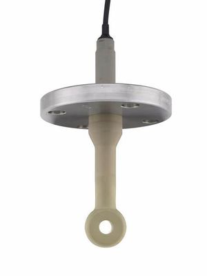 kupować PEEK PFA Cyfrowy czujnik przewodności Endress Hauser Indumax CLS50D-AA3B21 online manufacture